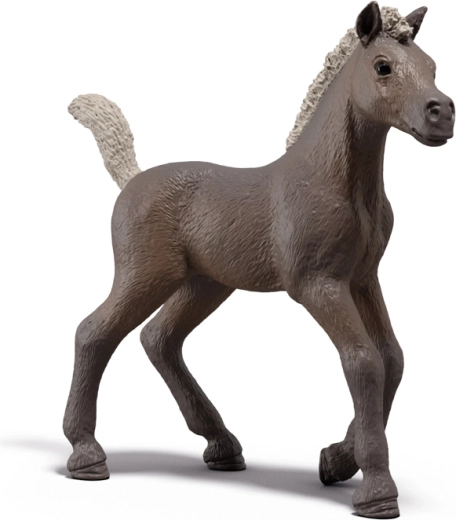 Poulain de collection Darcy SCHLEICH Horse Club – édition limitée