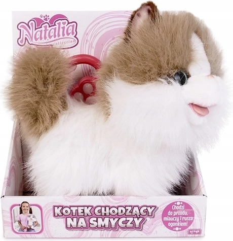 Natalia – chaton en laisse blanc et roux