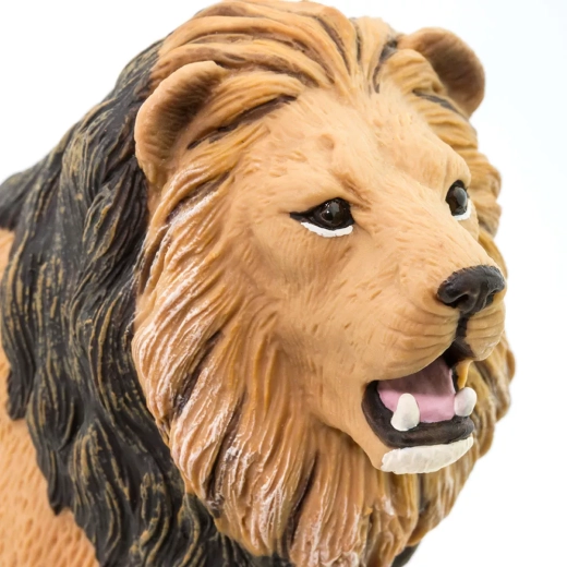 Détails réalistes du lion