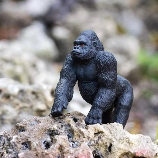 Posture stable et conception résistante