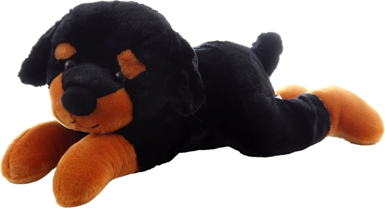 Sûr pour les tout-petits (0+)