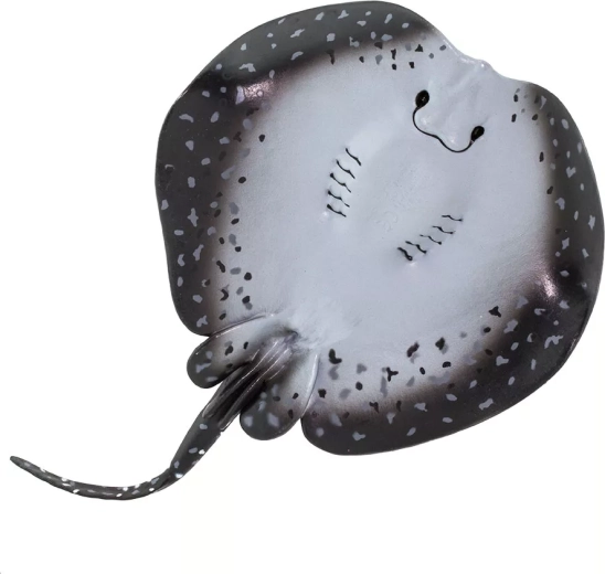 Parfaite pour jouer, apprendre et collectionner