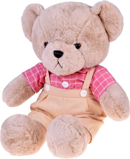 Tenue vintage amovible