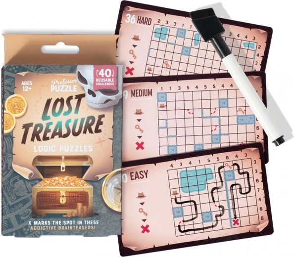 Professor Puzzle jeu de logique Lost Treasure – ensemble d’énigmes de voyage