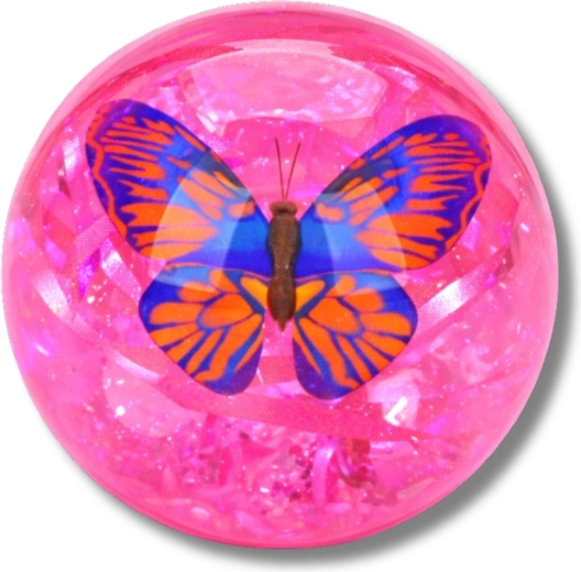 Confettis scintillants et papillon à l’intérieur