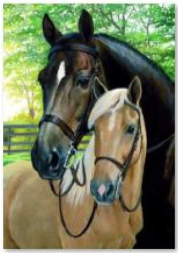 Broderie diamant (diamond painting) chevaux 30 × 40 cm