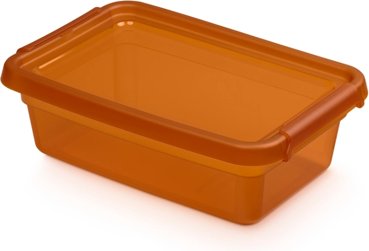 Basestore boîte de rangement avec couvercle et clips amber 3 l (19 × 28 × 9 cm)