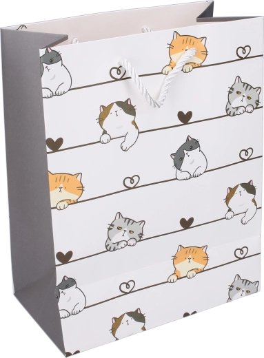 Adorable design de chats pour la joie d’offrir