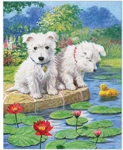 Norimpex peinture par numéros Chiens maltais au bord du lac 40 × 50 cm