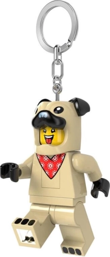 Anneau et chaîne métalliques robustes