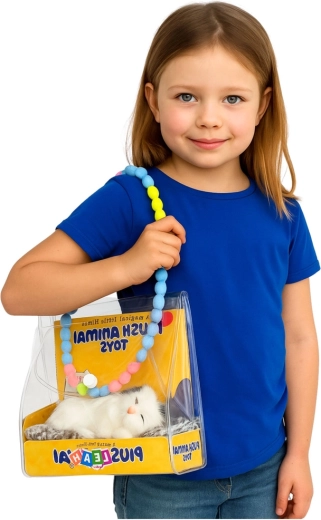 Pochette de transport transparente