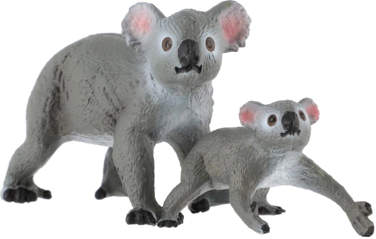 Koala avec son petit