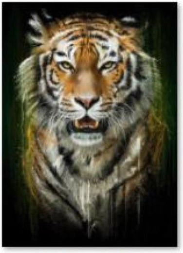 Broderie diamant (diamond painting) tigre - 30 × 40 cm