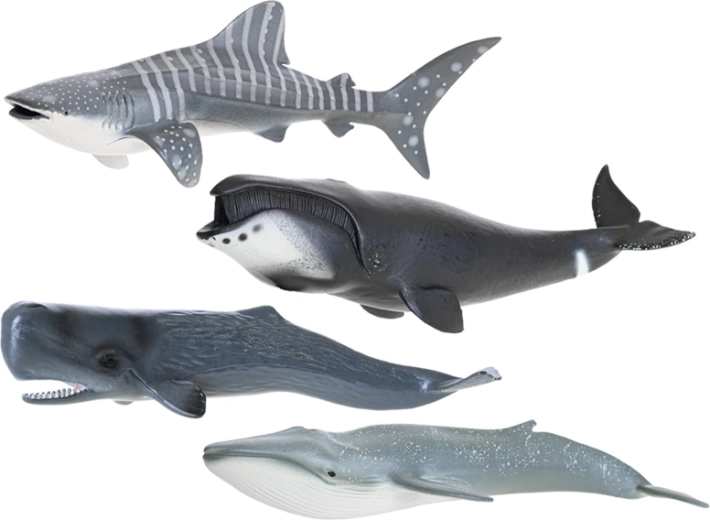 Conception en plastique résistante