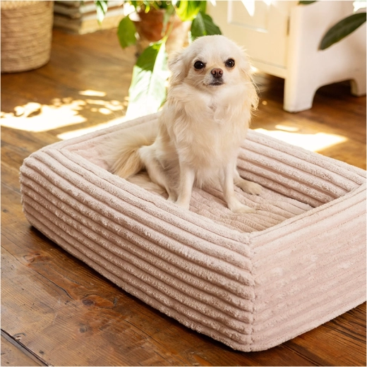 Sécurité et stabilité dans tout intérieur