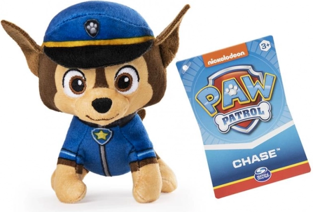 Uniforme authentique avec insigne