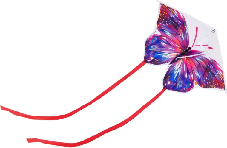 Un look de papillon qui rayonne dans le ciel