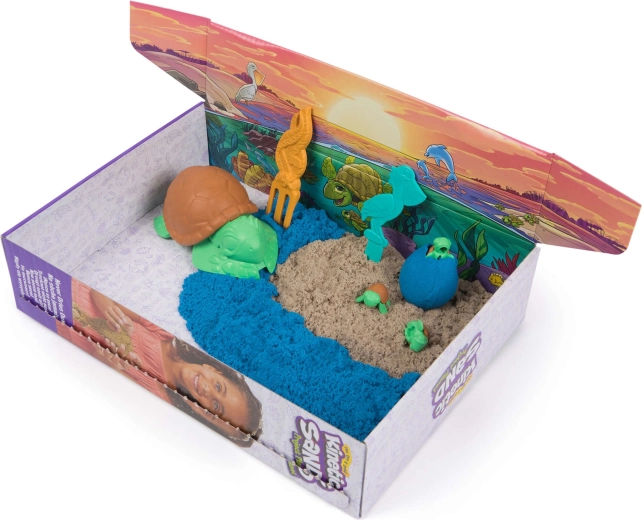 Créez une plage aux tortues