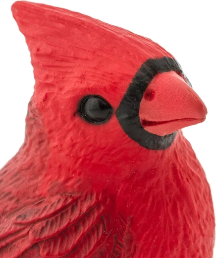 Finition réaliste du cardinal
