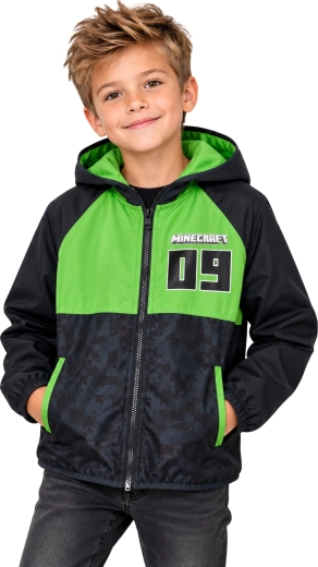 Design sous licence Minecraft