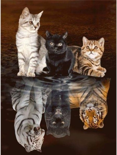 Broderie diamant (diamond painting) reflet dans le miroir – trois chats 30 × 40 cm - 1 pièce