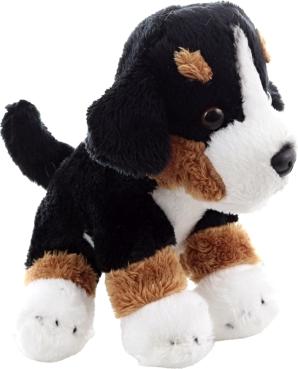 Compagnon léger et facile à emporter