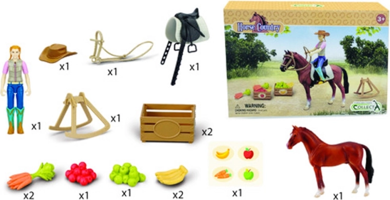 Cavalière avec étalon hanovrien et accessoires