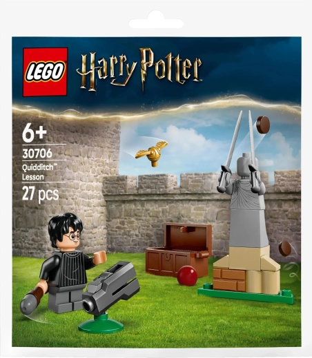 LEGO Harry Potter leçon de quidditch