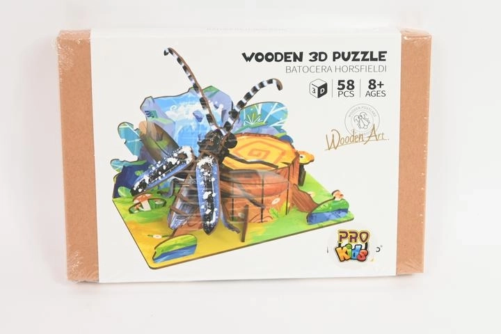 Puzzle 3D en bois : Scarabée en forêt