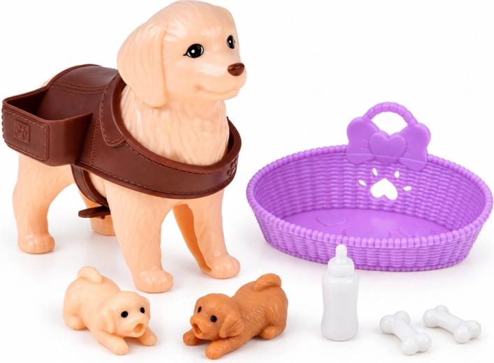 Accessoires pour prendre soin de la famille canine