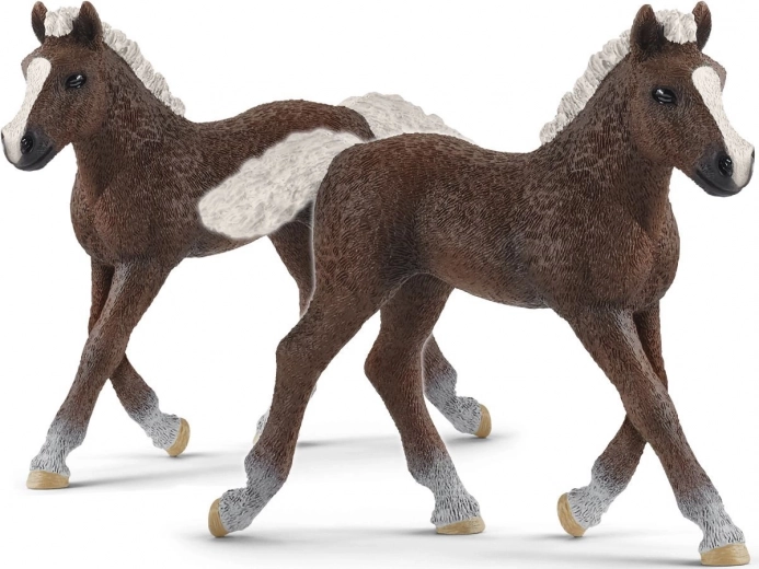 SCHLEICH HORSE CLUB poulain de la Forêt-Noire – figurine
