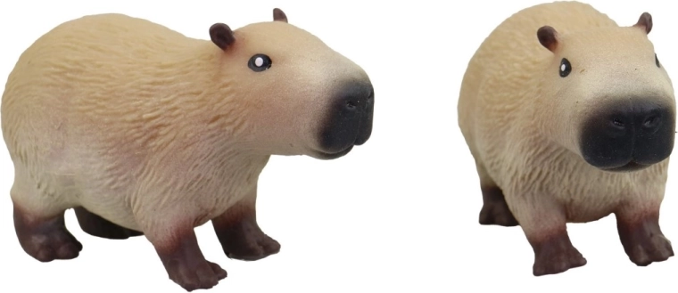 Apparence adorable du capybara