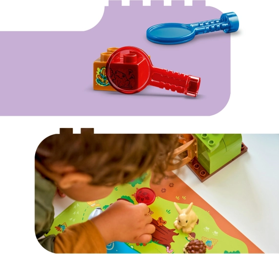 Lentilles colorées pour découvrir les détails