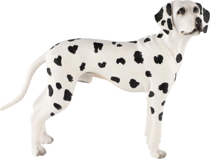 Apparence réaliste du dalmatien