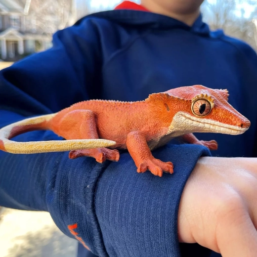 Échelle 1:1 – comme un vrai gecko