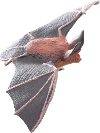 Détails fidèles pour un jeu réaliste