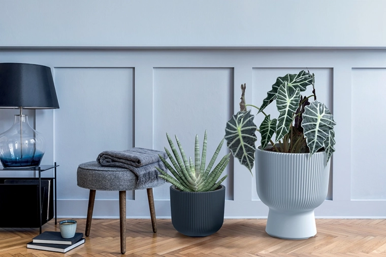 Design anthracite moderne
