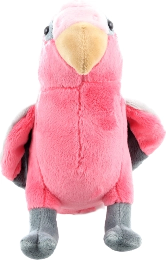 Taille compacte