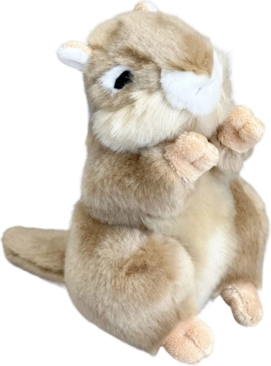 Peluche marmotte 20 cm