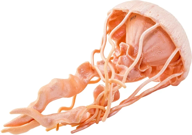 Conception sûre et non toxique