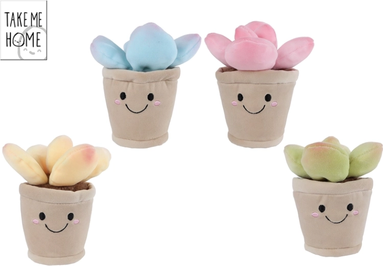 Plante succulente en peluche 13 cm