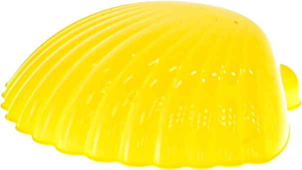 Empreintes réalistes avec le moule coquillage