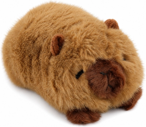 Détails adorables du capybara