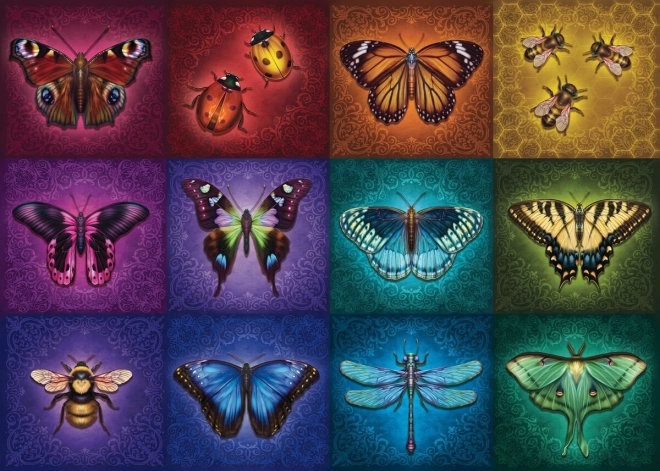 Beaux insectes ailés puzzle 2D 1000 pièces