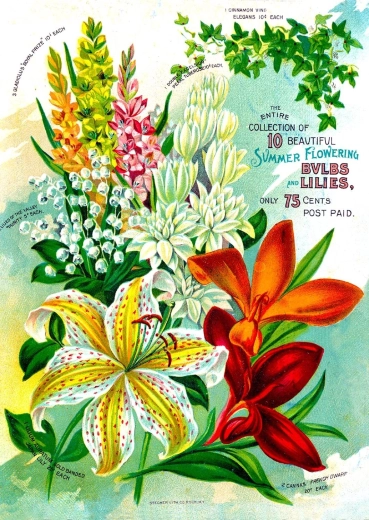 Puzzle Enjoy Catalogue floral vintage 1000 pièces