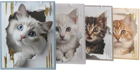 Sac cadeau avec motif chat