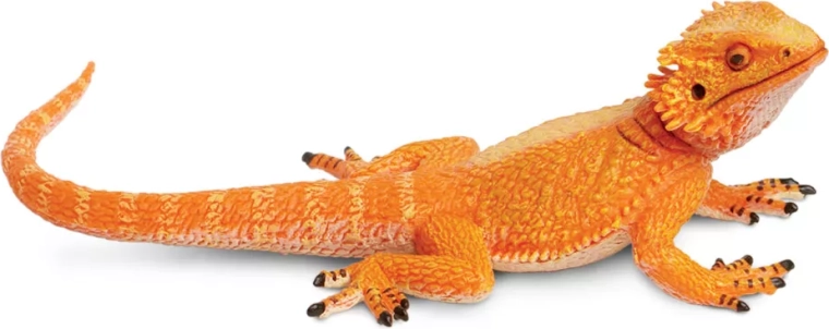 Figurine de dragon barbu Safari Ltd.