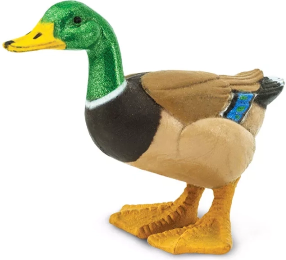 Canard colvert (figurine) Safari Ltd. - 1 pièce