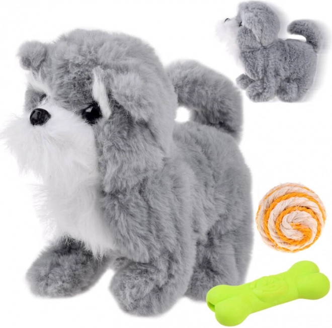 Chiot gris interactif