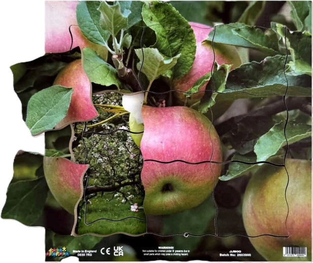 Just Jigsaws Pomme et ses phases de croissance végétative – puzzle en bois à couches, 19 pièces